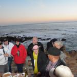 Cambria_0327 (November 02, 2013)
